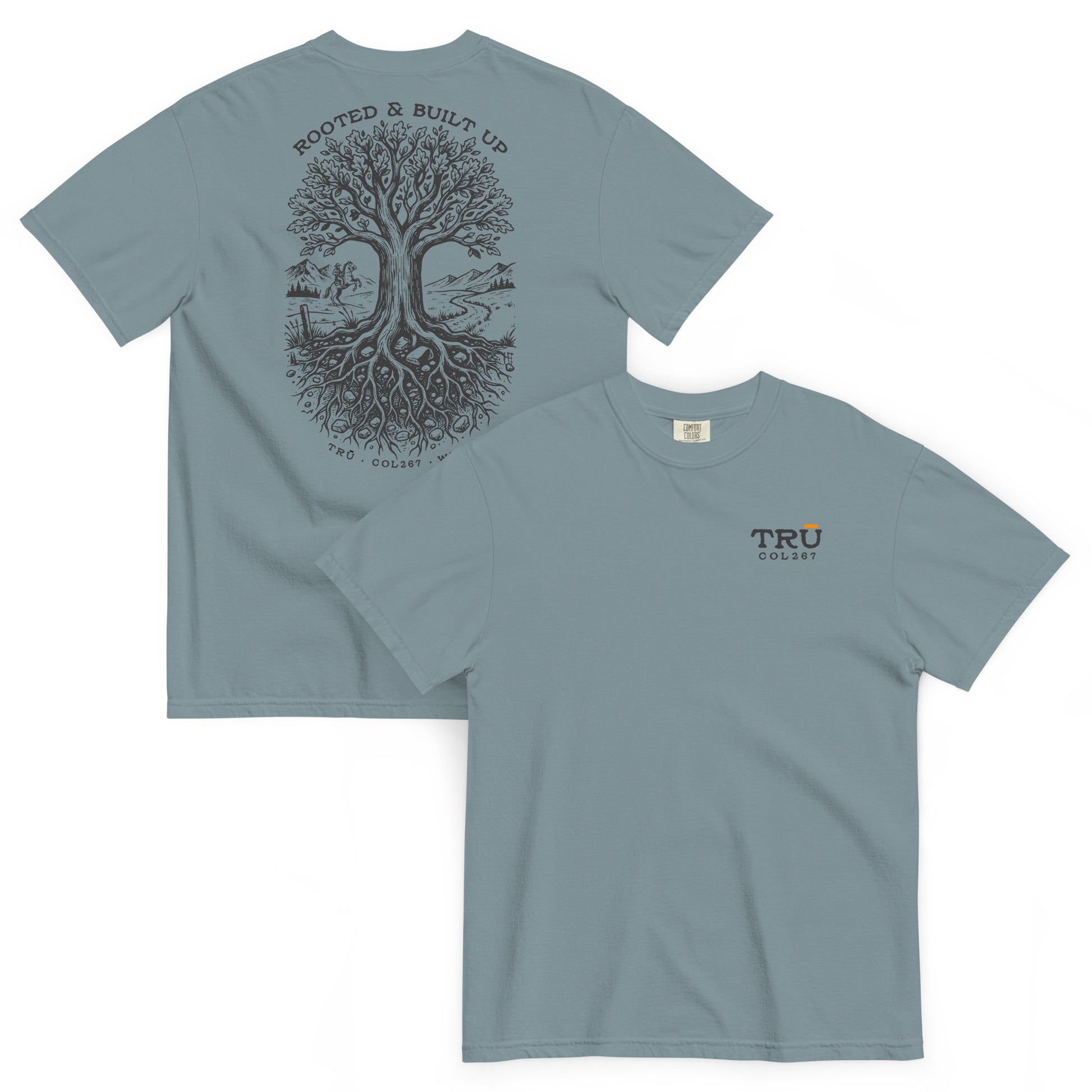 TRŪ Wear Rooted And Built Up heavyweight garment dyed men's Christian tee, front and back, ice blue, verse code COL267 for Colossians 2:6-7